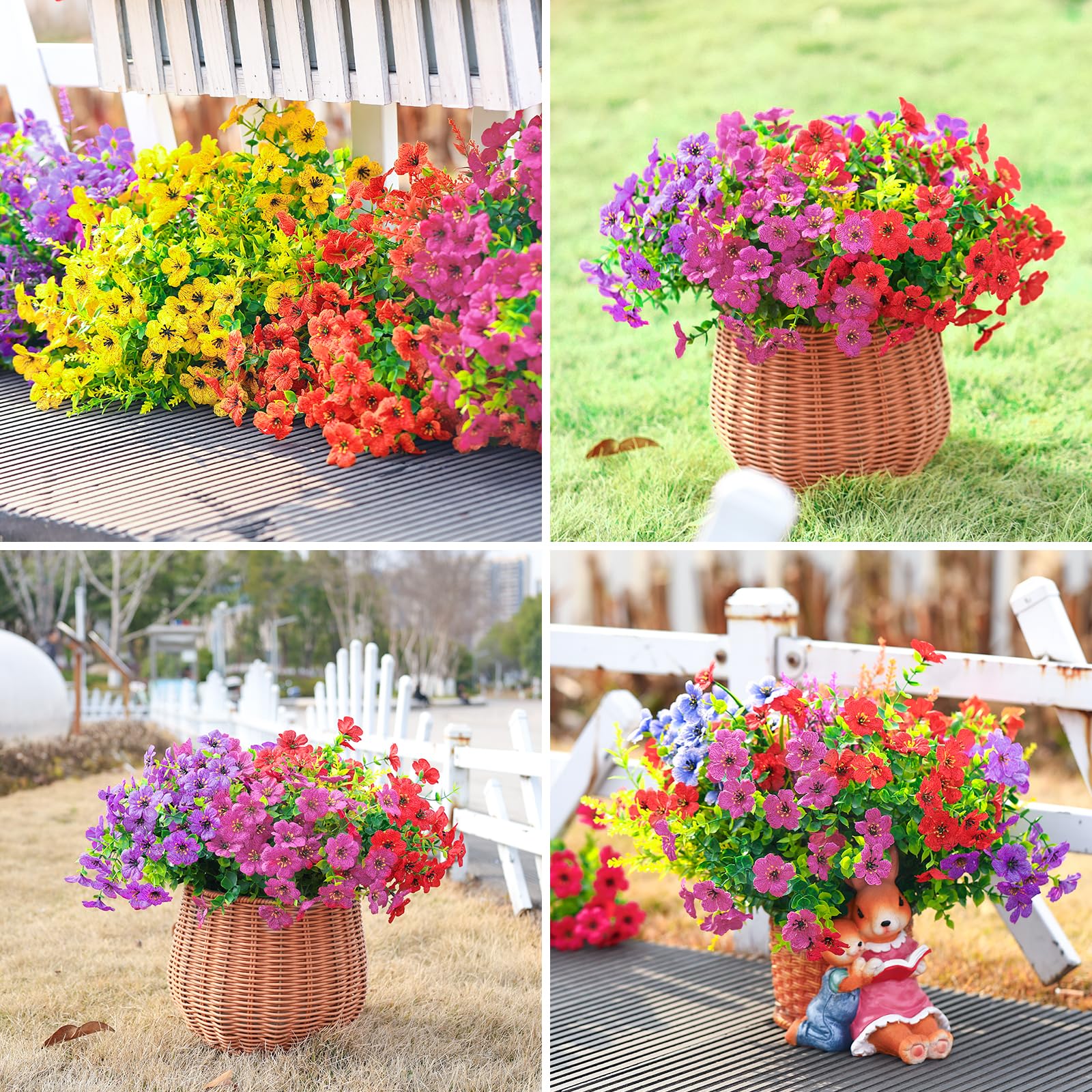 Violets Flowers for outside