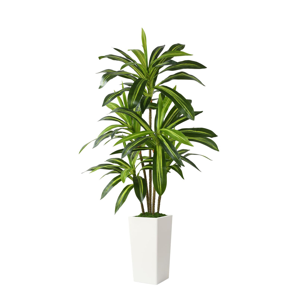 Artificial Dracaena tree by Shareconn, 4-6 ft tall faux indoor plant with a white planter, realistic greenery for home decor.