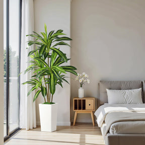 Artificial Dracaena Tree in a white planter, available in 4, 5, or 6 feet, realistic faux indoor plant by SHareconn.