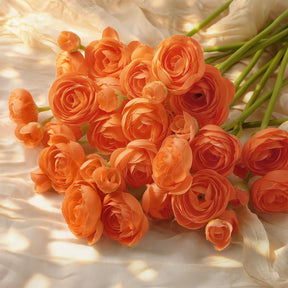 30Pcs Burnt Orange Ranunculus Artificial Flowers - SHareconn